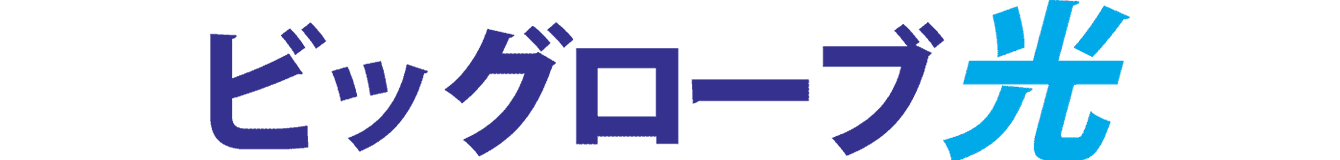 ビッグローブ光